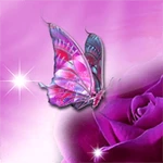 butterfly live wallpaper android application logo